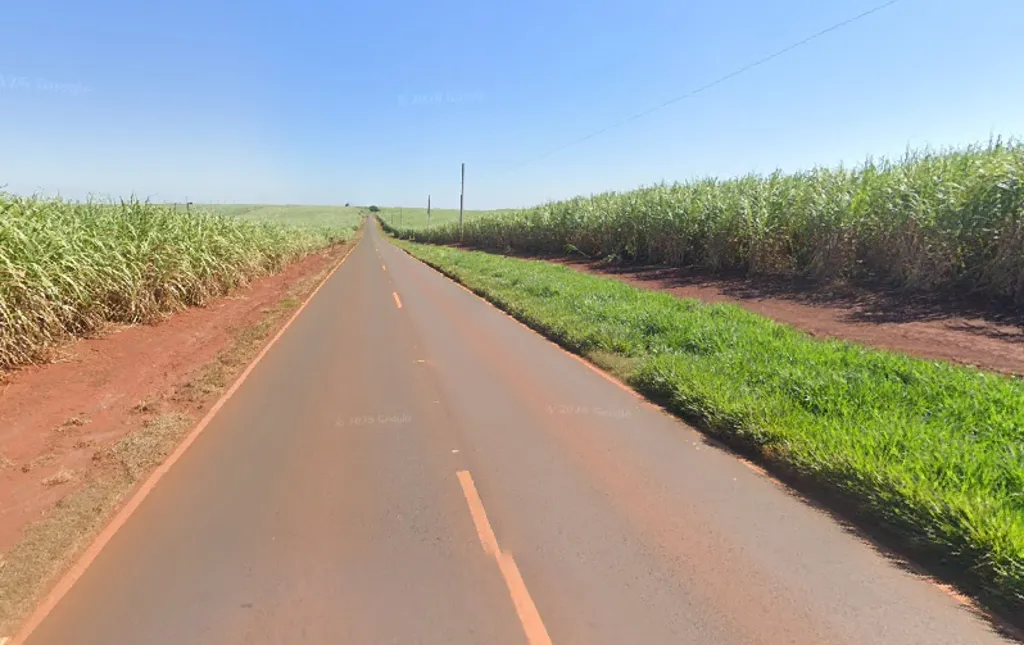 Estrada pavimentada com faixa central e vegetação na cor verde nos dois lados